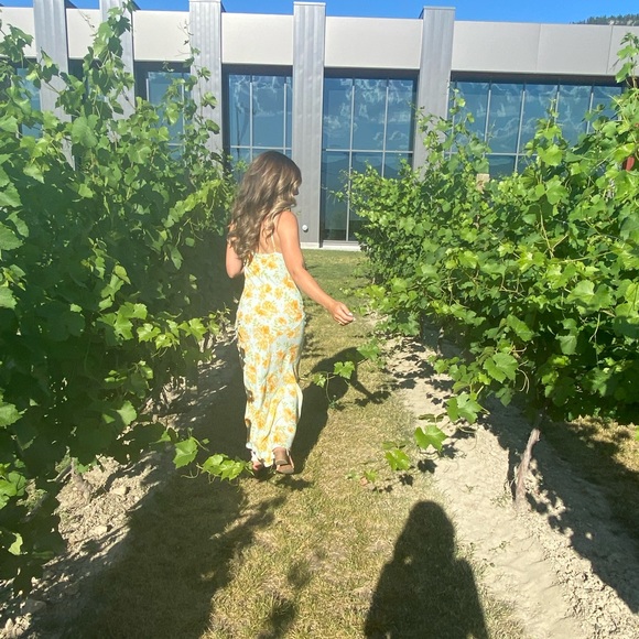 Billy J Boutique, Ariana Midi Dress - Picture 5 of 7